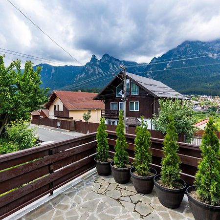 The Bear House Villa Buşteni Екстериор снимка