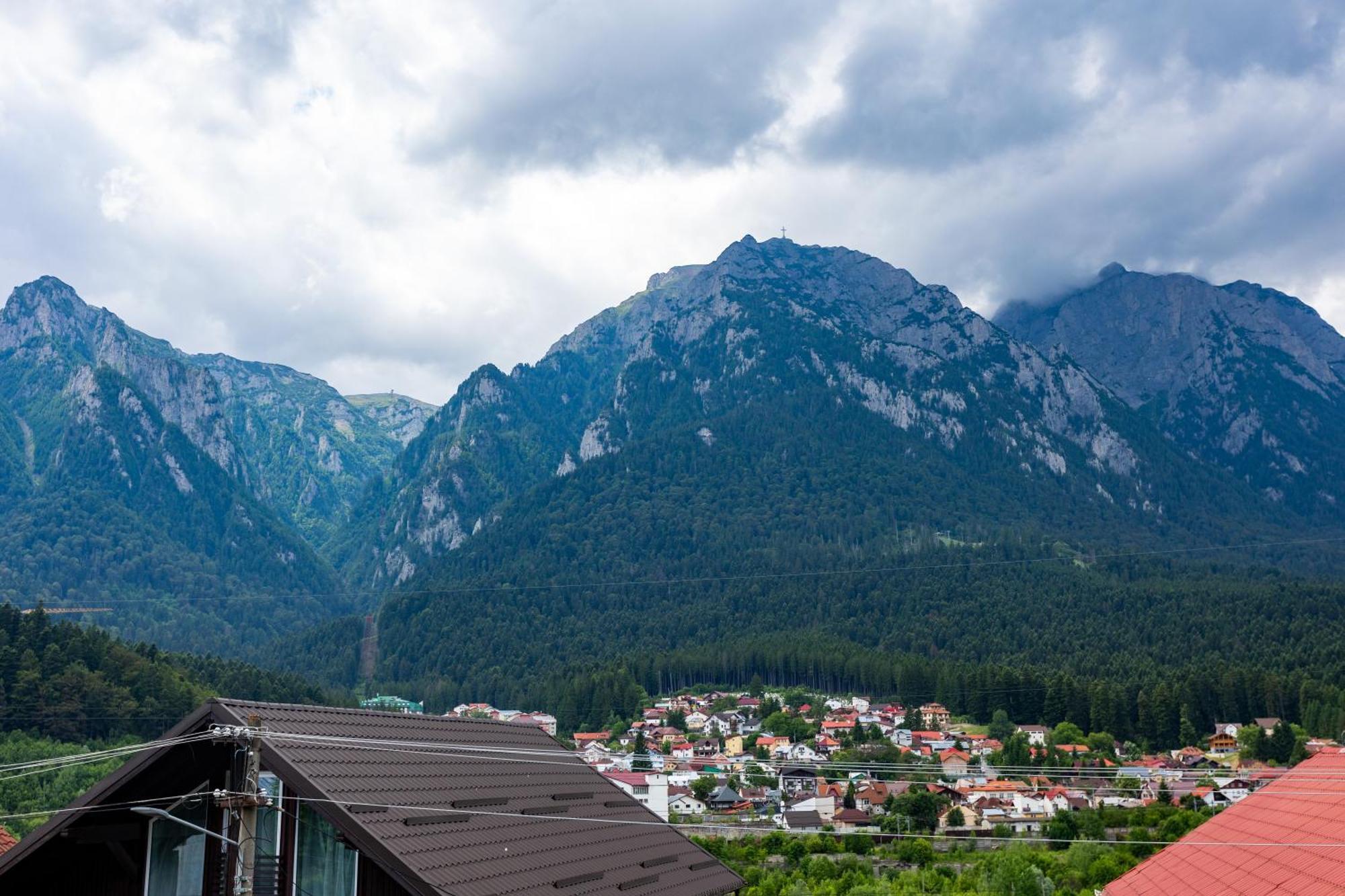 The Bear House Villa Buşteni Екстериор снимка